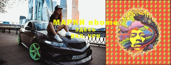 мет Алексин