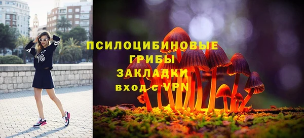 мет Алексин