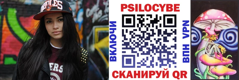 Галлюциногенные грибы Psilocybine cubensis  Магадан 
